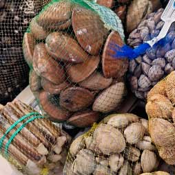 Enrique Pérez El Moruto Pescados y Mariscos Málaga